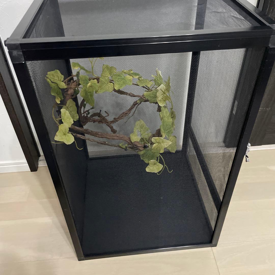 飼育ケージ　ケージ　42×42×66 爬虫類　カメレオン　メッシュ　レイアウト