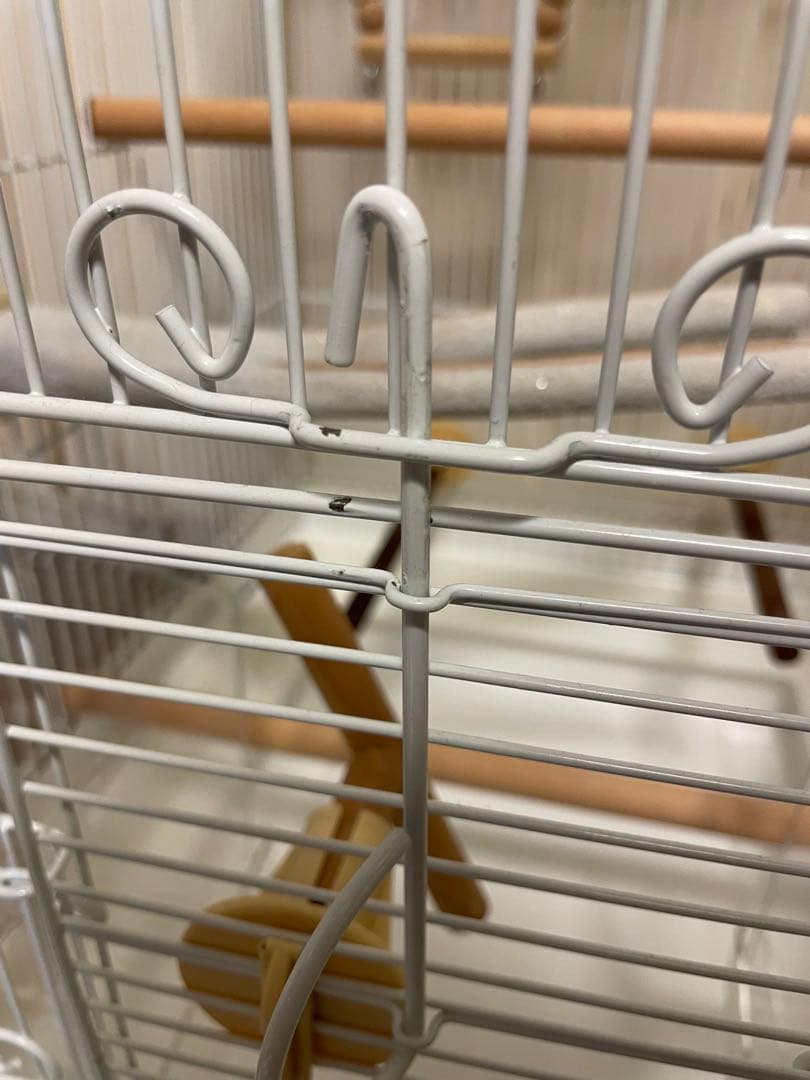 プロフィール必読✴︎ 12800 HOEI 35手のり ピュアホワイト