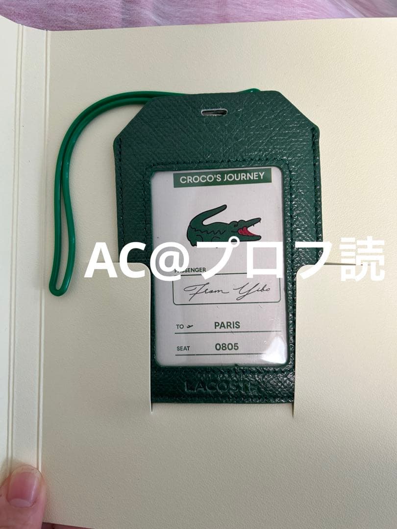 王一博　ラコステ　Lacoste from Yibo 完売品　即発送