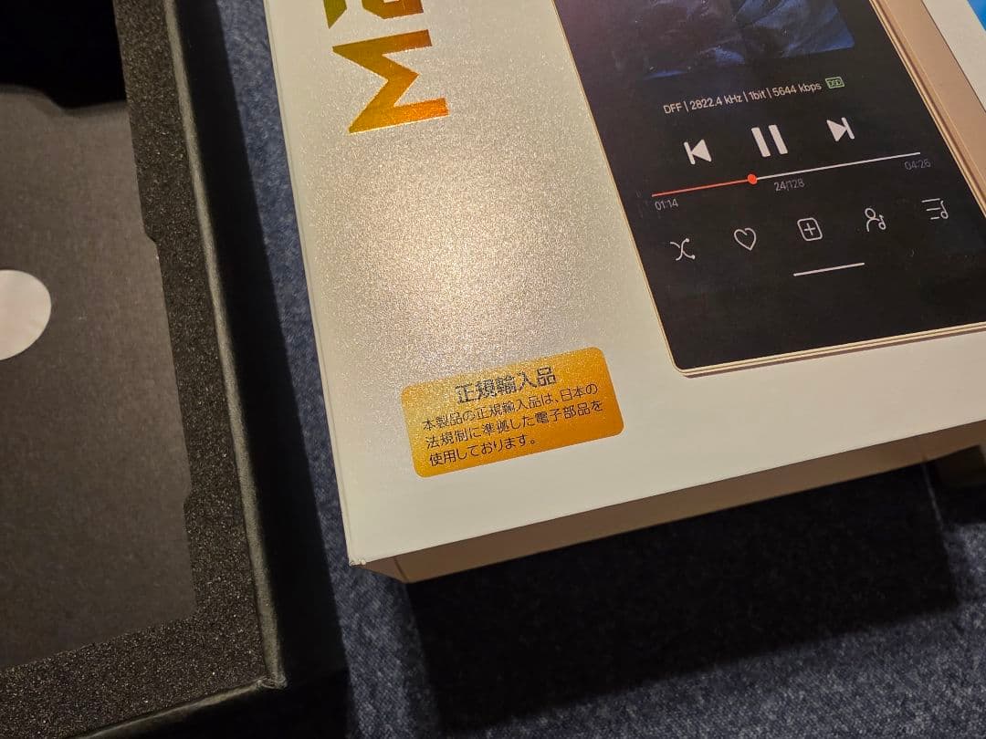 FiiO M21 Titanium Gold 保証書/ケーブル/micro SD