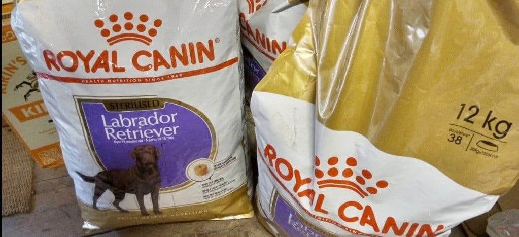  CANIN ラブラドール レトリーバー ステアライズド 12kg