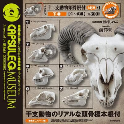 ホネコレ！ 十二支動物頭骨根付 コンプリート
