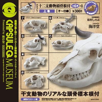 ホネコレ！ 十二支動物頭骨根付 コンプリート