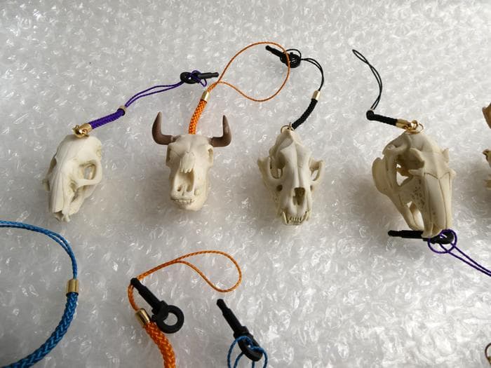 ホネコレ！ 十二支動物頭骨根付 コンプリート