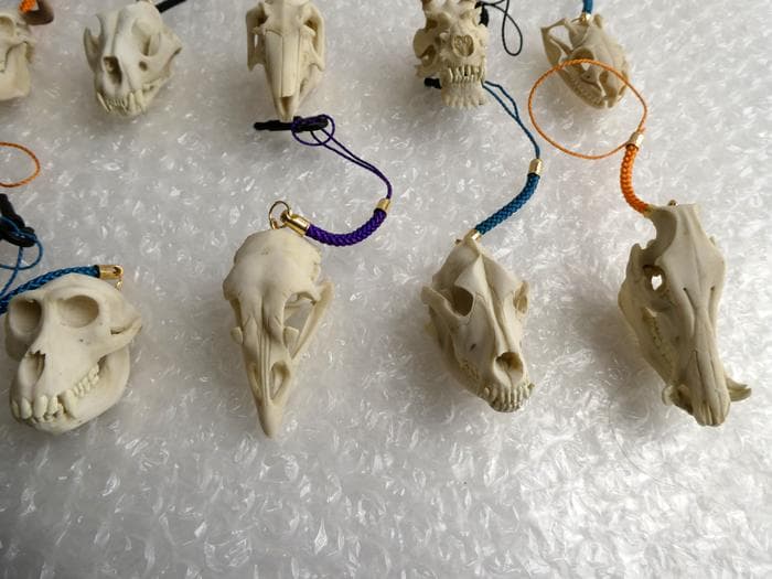 ホネコレ！ 十二支動物頭骨根付 コンプリート