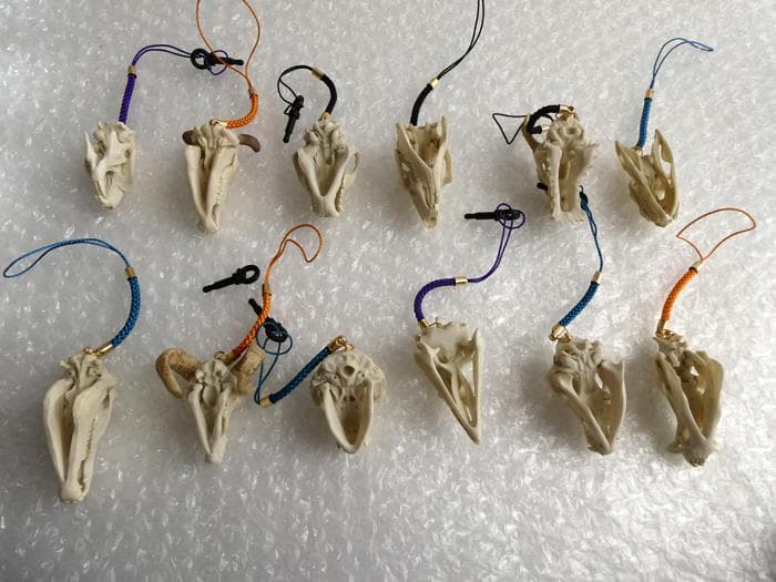 ホネコレ！ 十二支動物頭骨根付 コンプリート