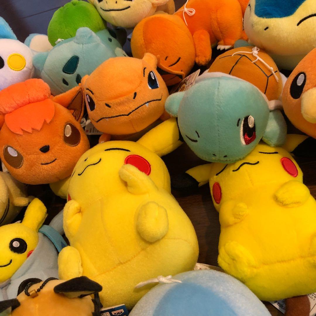 みーこ様確認用 ポケモン ぬいぐるみ