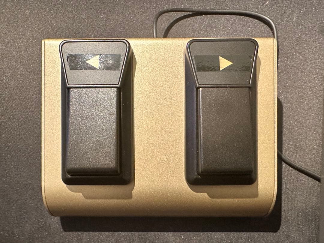 ZOOM G3 v2.10 カスタム　スクロールフットスイッチ付き