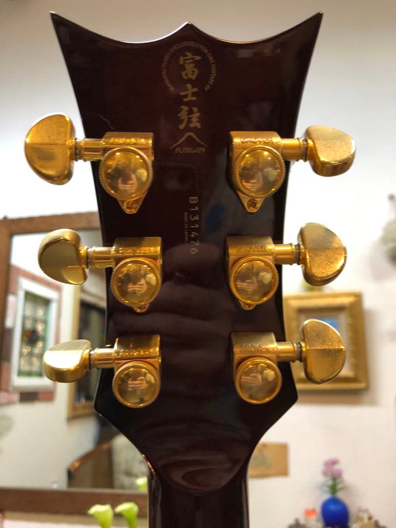 富士弦製DBZ GUITARS Infinity Mondial　T'sPU搭載