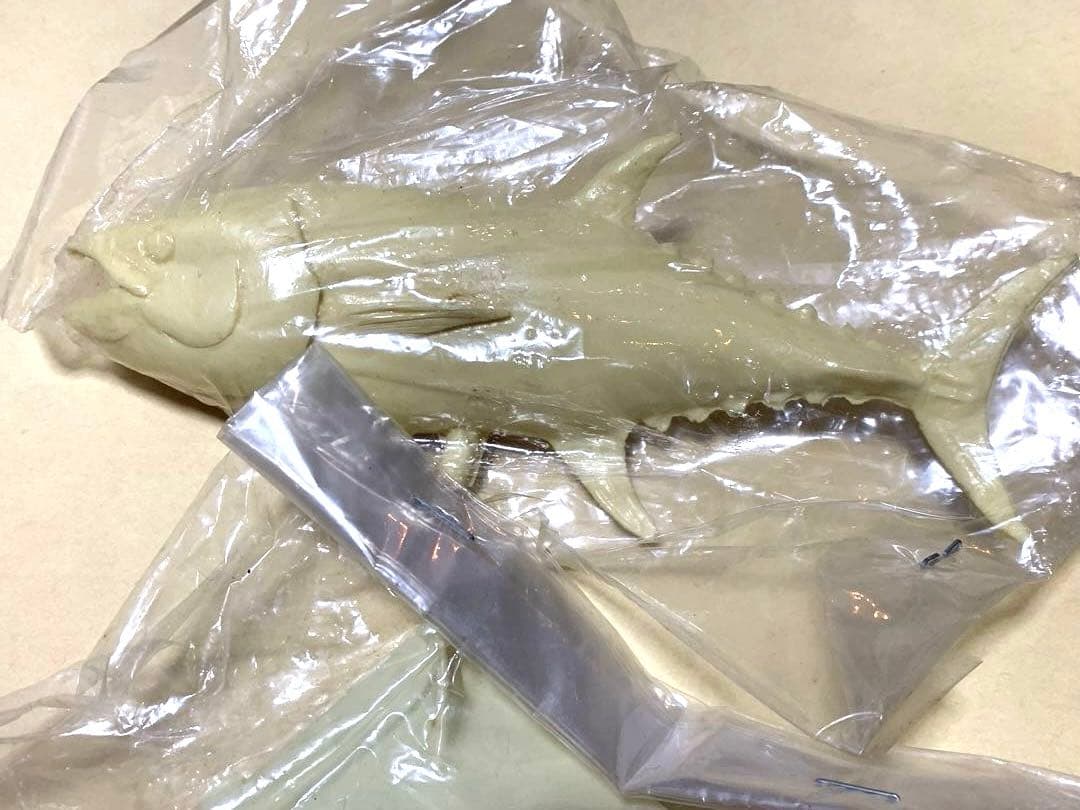 海洋堂　アクアランド　レジンキット　ホンマグロ　オニイトマキエイ　2個セット