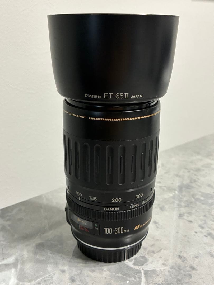 ⭐️美品⭐️キャノン Canon EF 100-300mm 4.5-5.6 USM