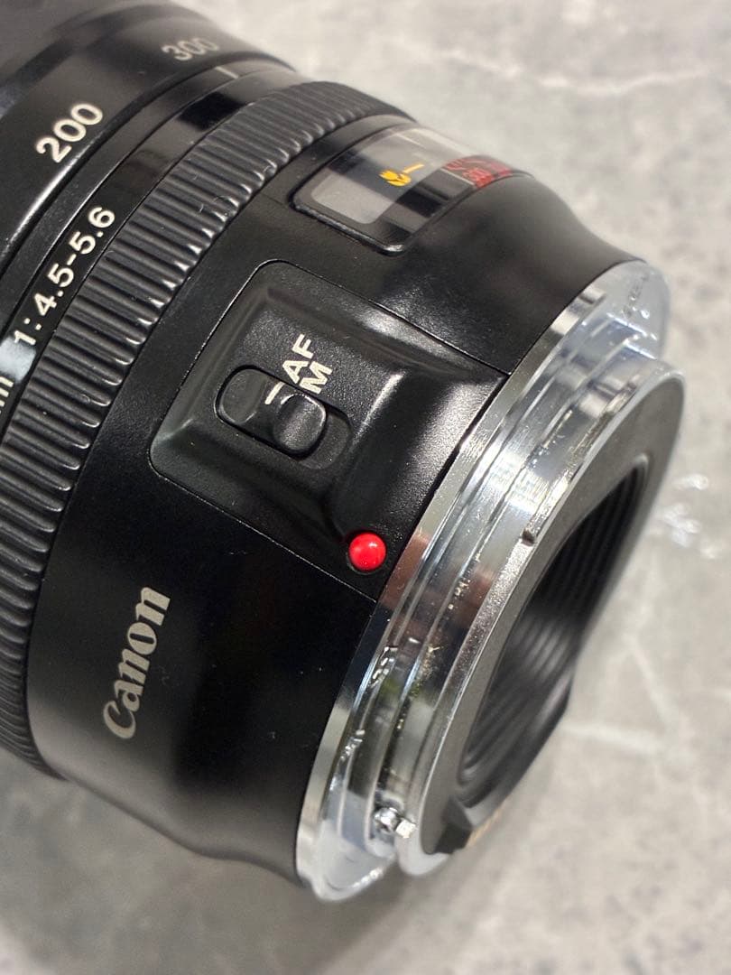 ⭐️美品⭐️キャノン Canon EF 100-300mm 4.5-5.6 USM