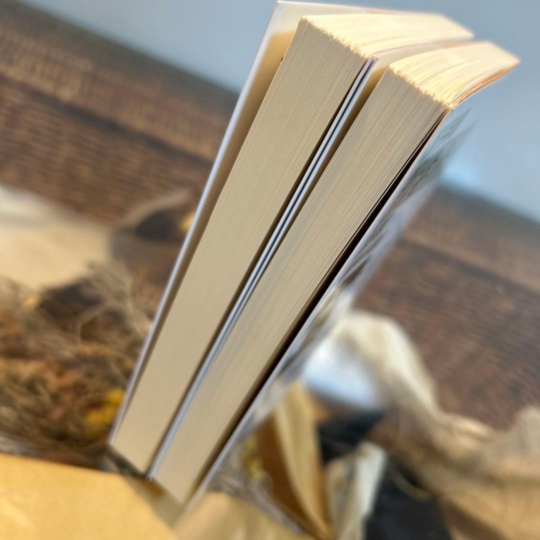 【レーニン　新品❗️】　哲学ノート　岩波文庫