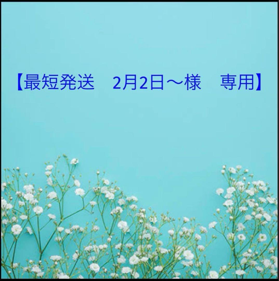 最短発送　2月2日～様 リクエスト 9点 まとめ商品