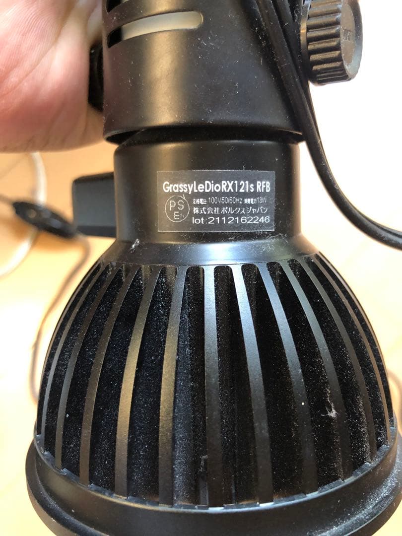 海水魚用品 GrassyLeDioRX121s RFB