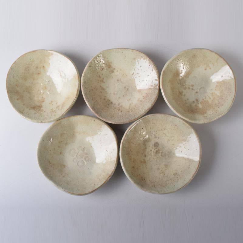 和食器　京焼　清水焼　陶楽造　向付　五客　共箱　V　7839