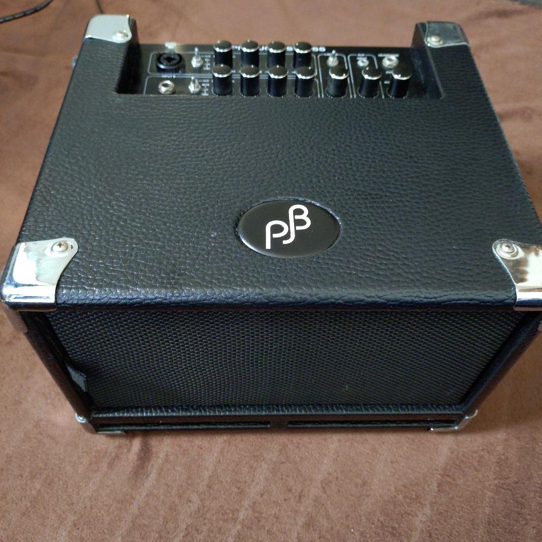 PJB Phil Jones Bass Cub BG-100（訳あり）