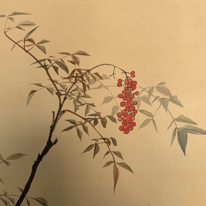 円山派　川端玉章　玉章　南天と犬の絵　日本画