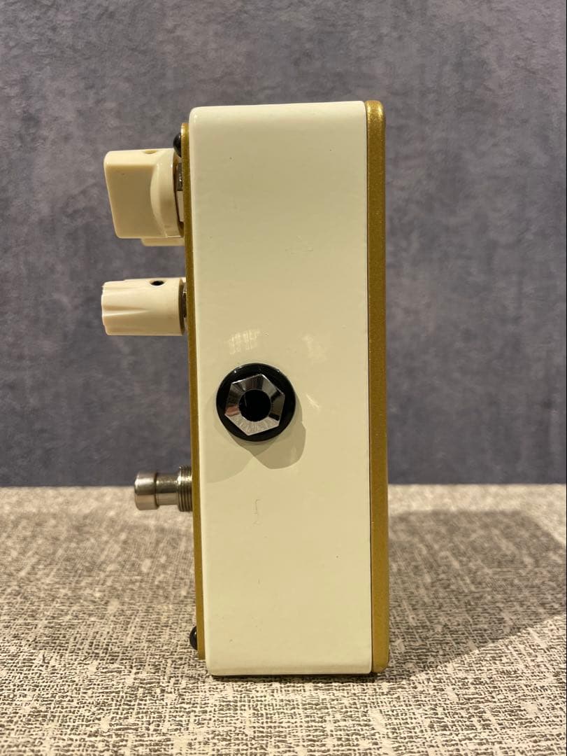 ギター MESA BOOGIE GOLD MINE