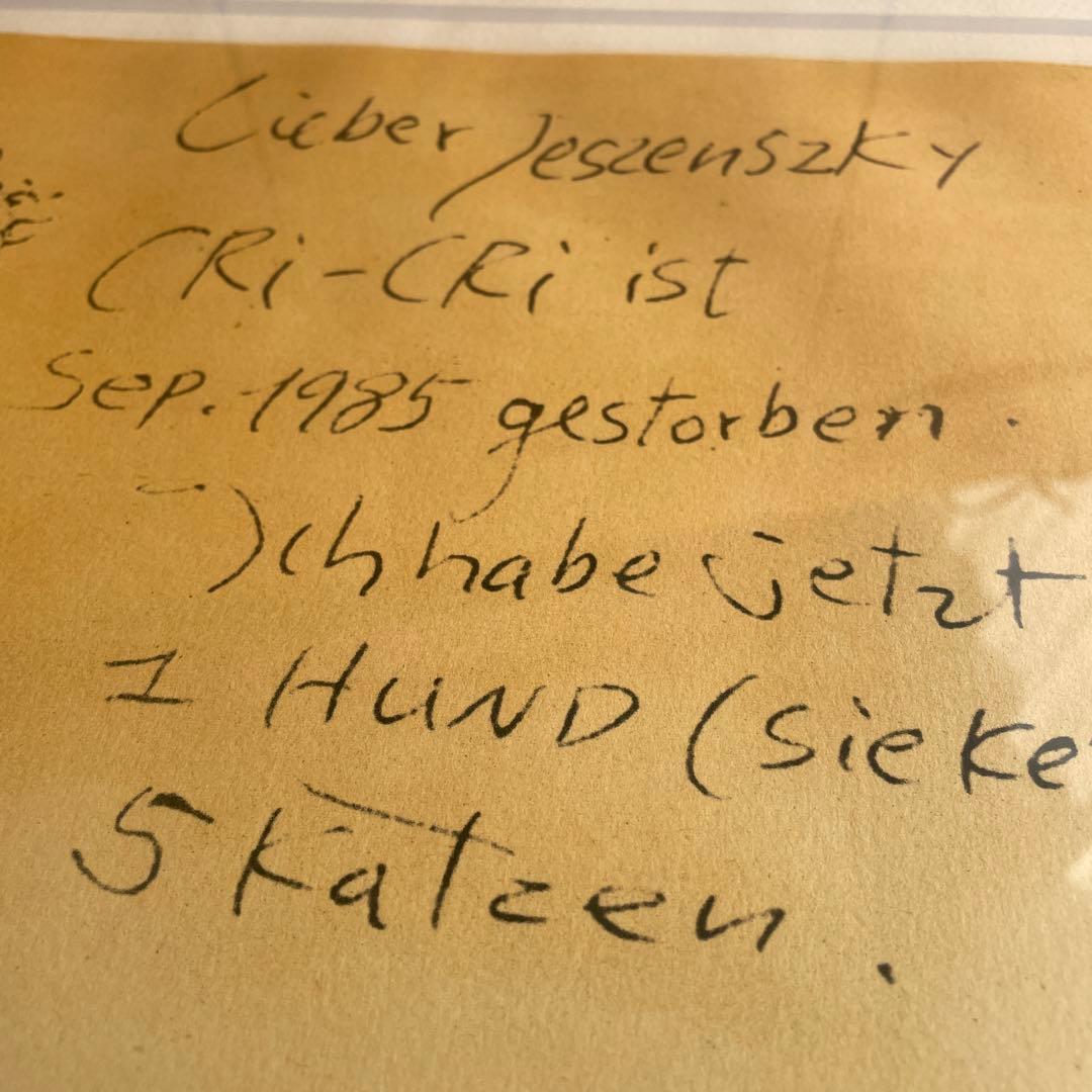 イングリット　フジ子　 ヘミング Jeszenszkyへの手紙