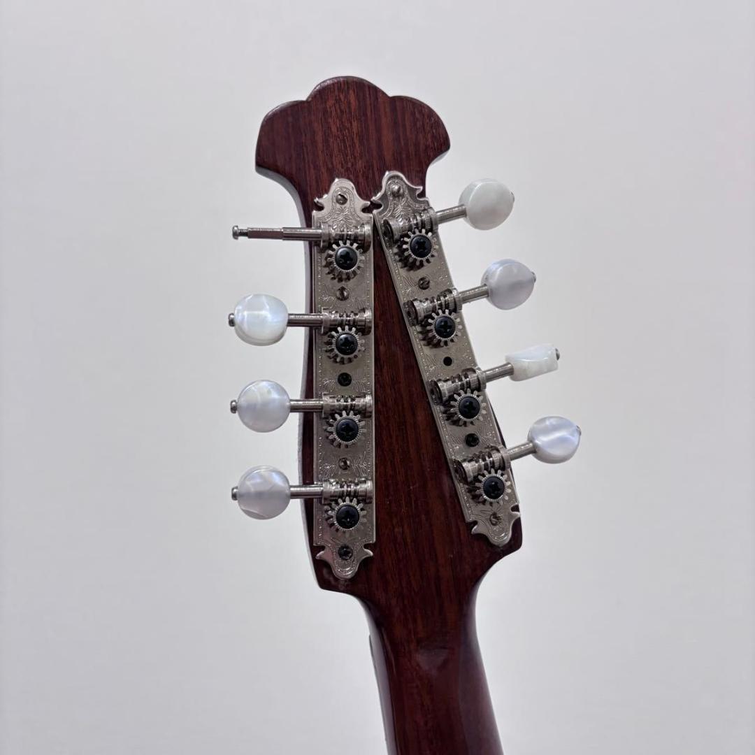 ☆マンドリン カターニア CATANIA イタリア ハードケース