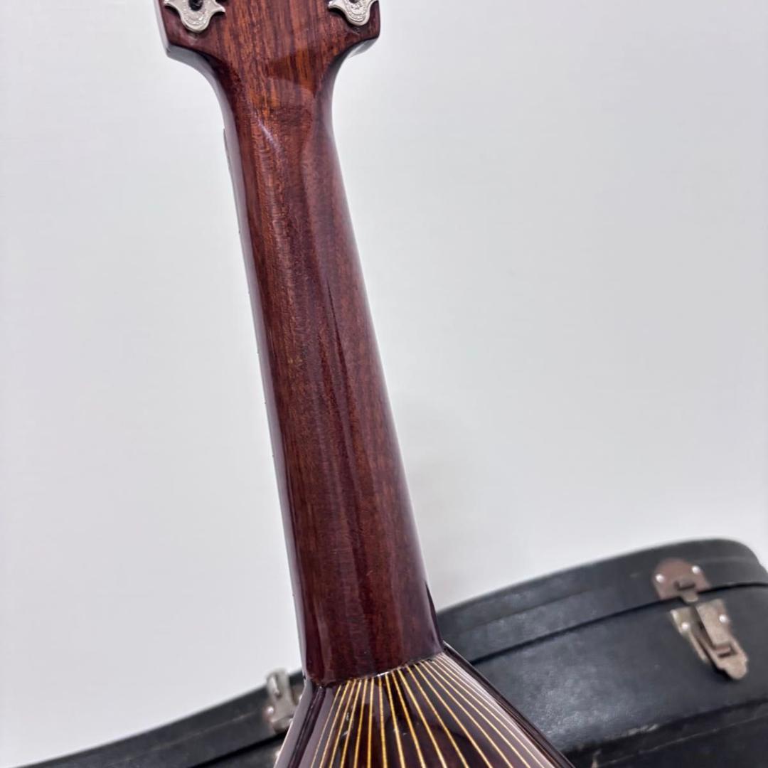 ☆マンドリン カターニア CATANIA イタリア ハードケース