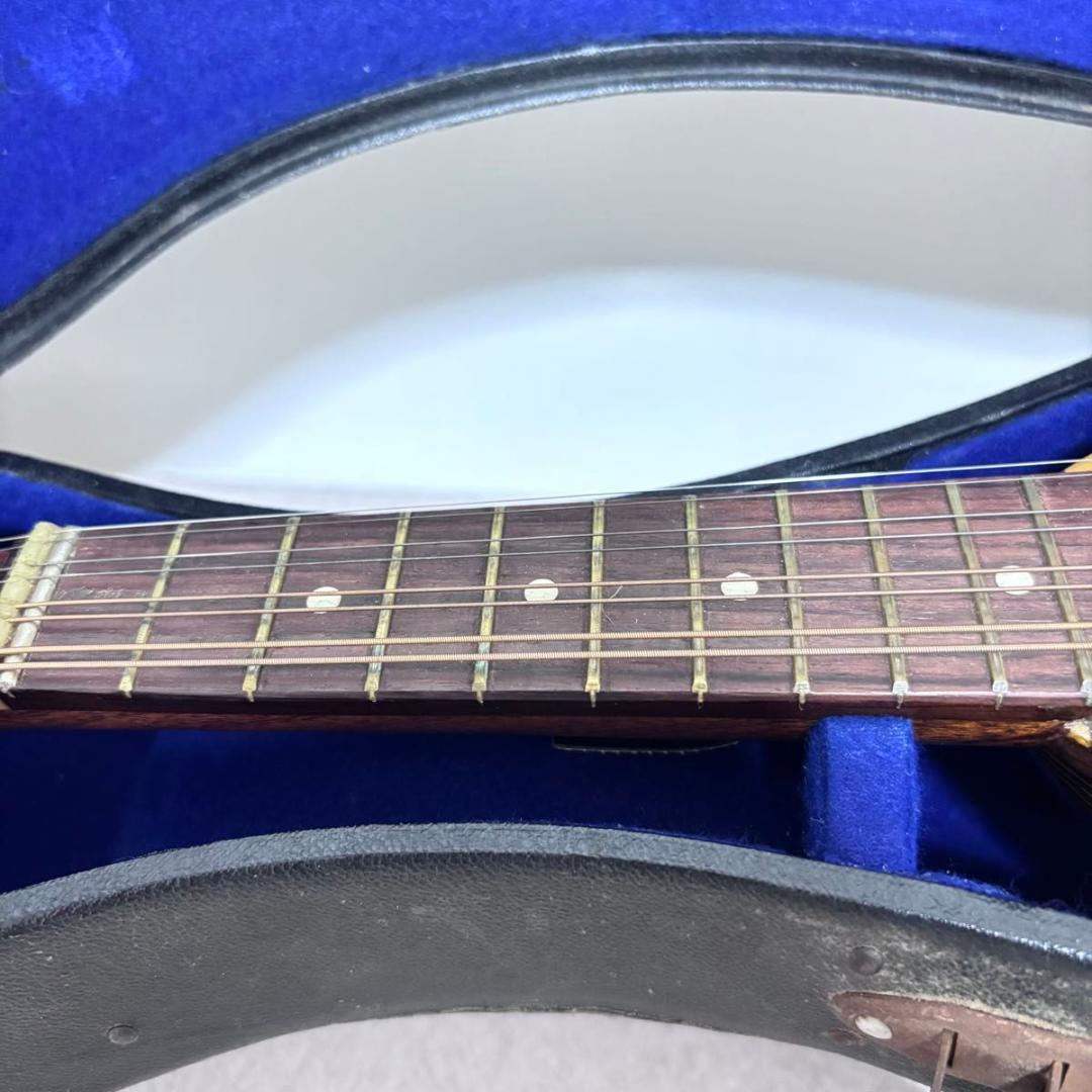 ☆マンドリン カターニア CATANIA イタリア ハードケース