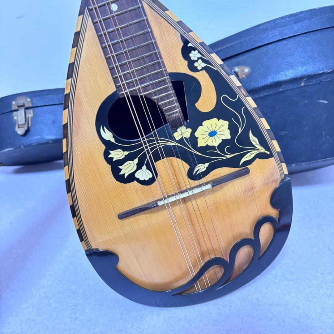 ☆マンドリン カターニア CATANIA イタリア ハードケース