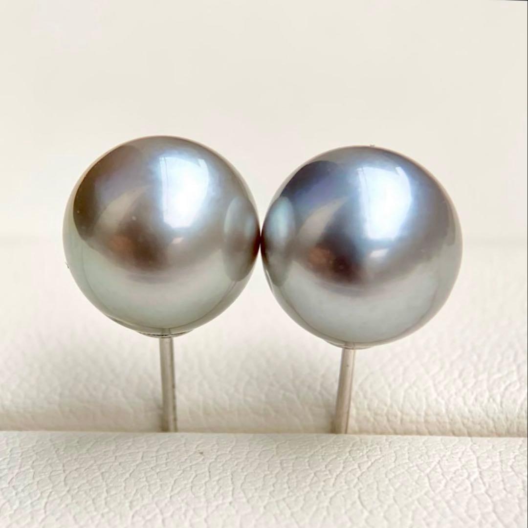 本真珠南洋黒蝶真珠　グレー系10.1㍉s925直結ピアスBL911