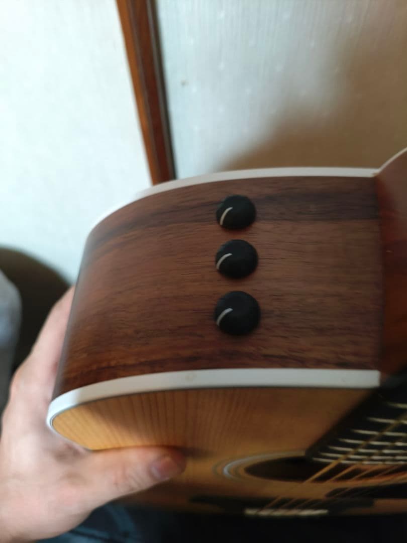 Taylor 214ce-Koa エレアコ