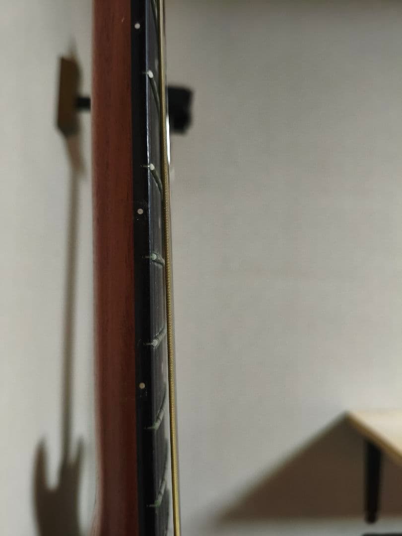 Taylor 214ce-Koa エレアコ