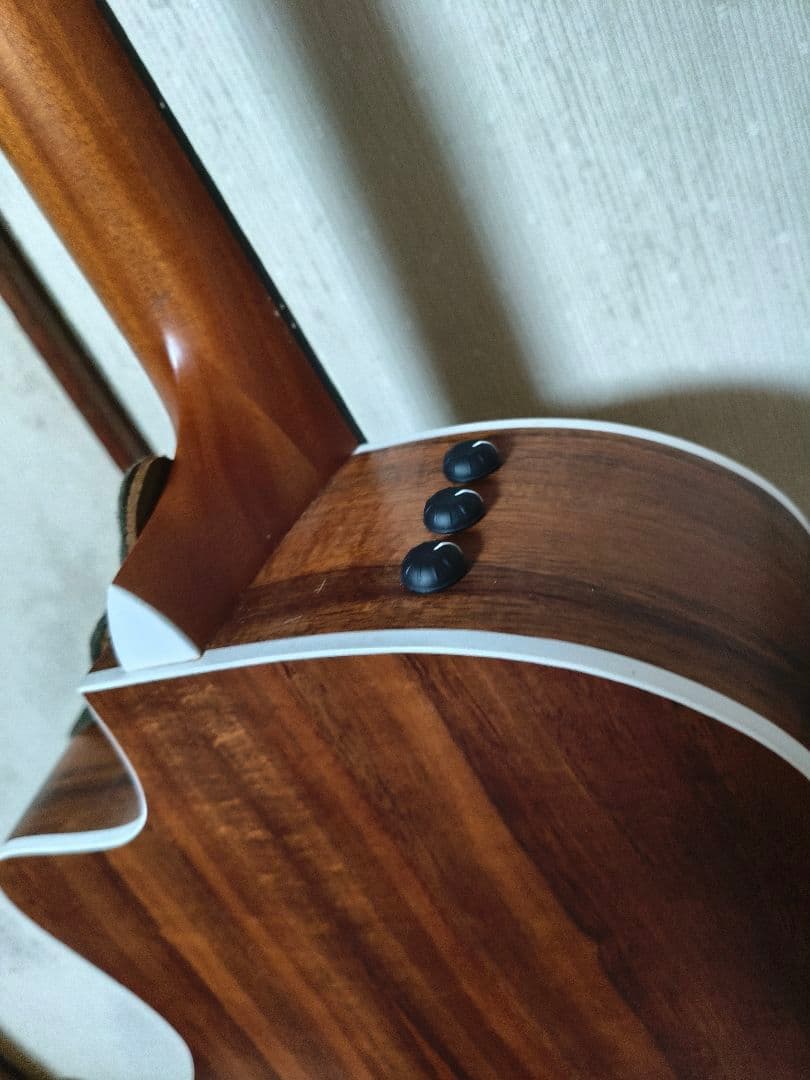 Taylor 214ce-Koa エレアコ