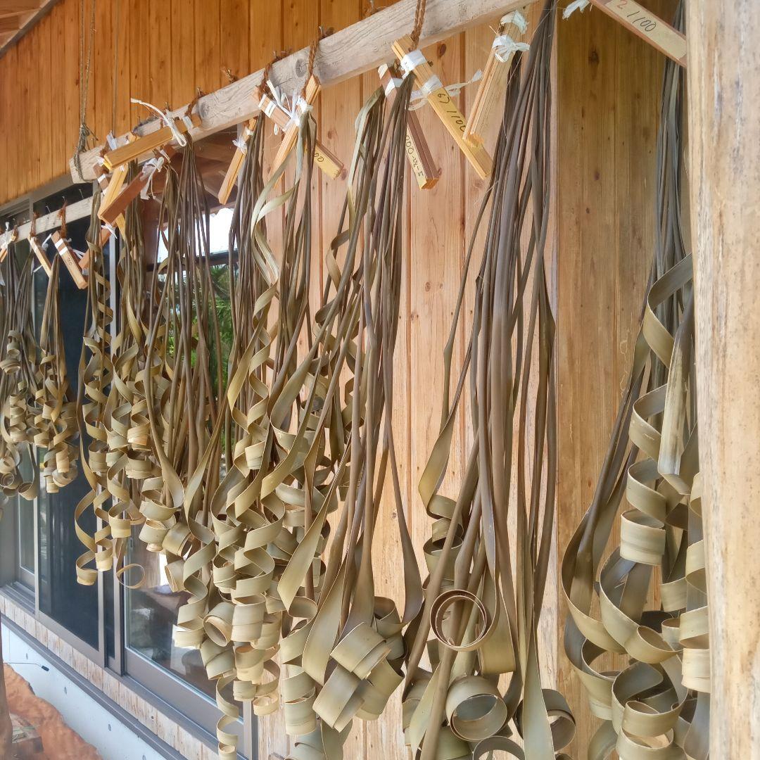 ハワイ産沖縄育ちのラウハラ\"特選限定生葉”