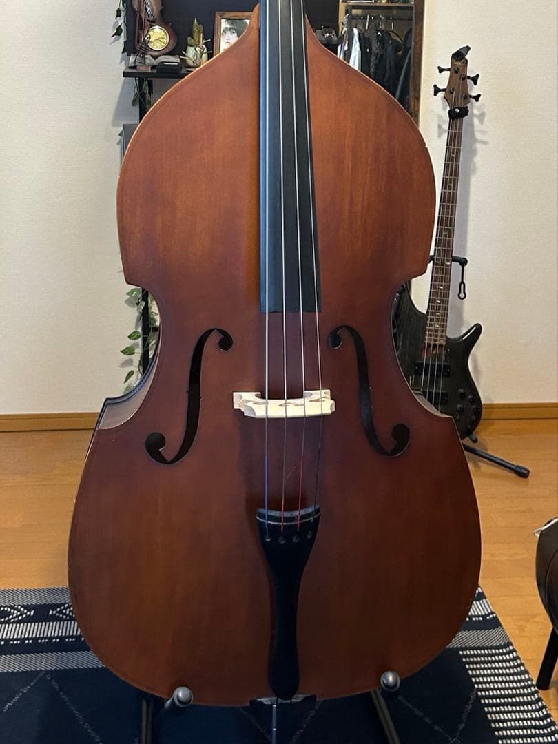 [S様購入]コントラバス　ハルシュタット
