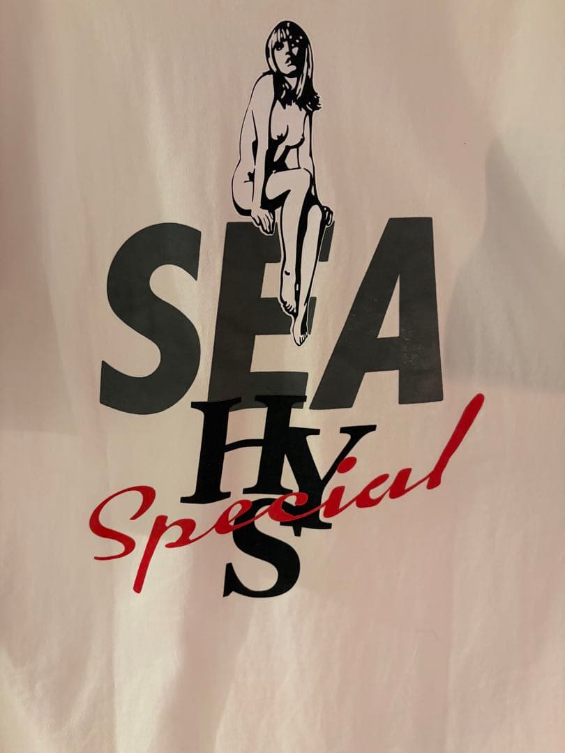 【希少XL】ヒステリックグラマー×ウィンダンシー Tシャツ バックプリント有り