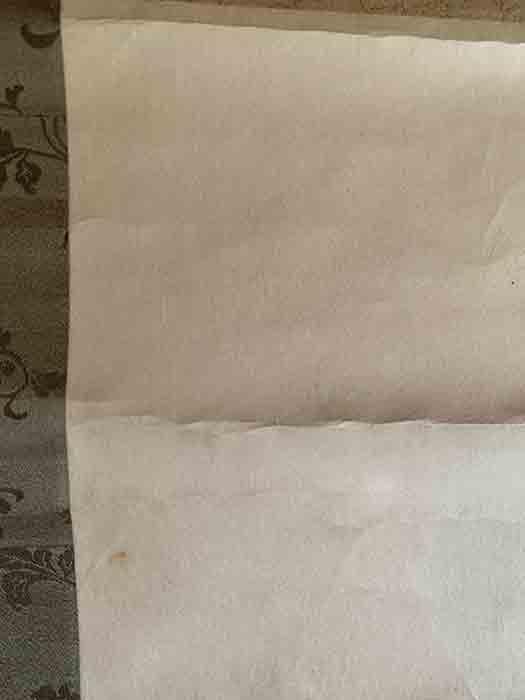 掛軸 木村武山 鳥 日本画 紅葉 銘あり 共箱あり 中古 21.01.16-1.