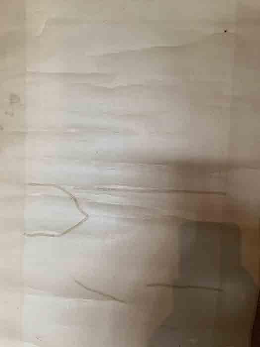 掛軸 木村武山 鳥 日本画 紅葉 銘あり 共箱あり 中古 21.01.16-1.