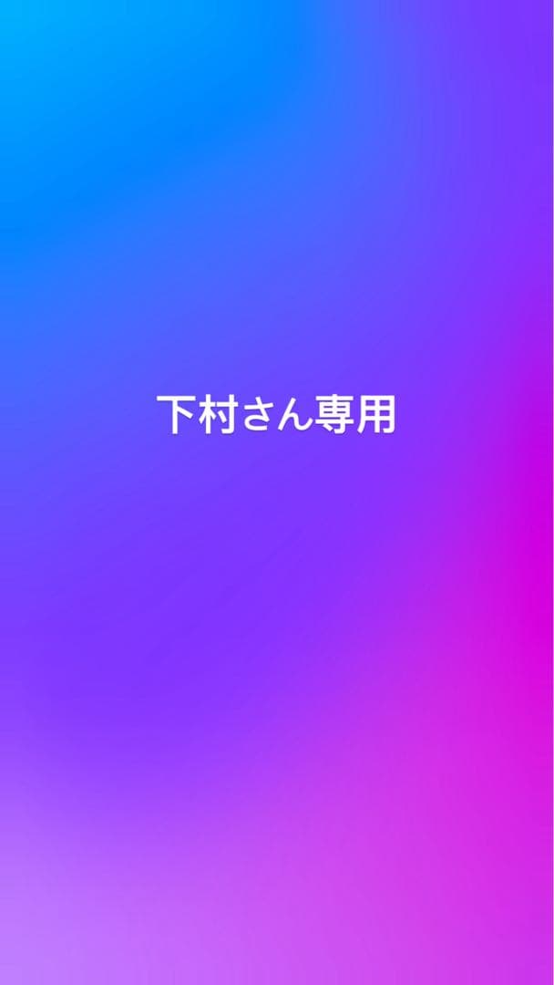 BALLOY 刺繍オウムデザイン Tシャツ