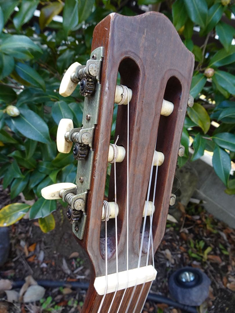 スピッツ「ハチミツ」ジャケットのギター 超レア！