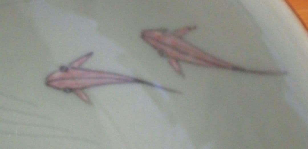 手塚玉堂作　青磁　魚文　茶碗　共箱　共布　略歴付　茶道具