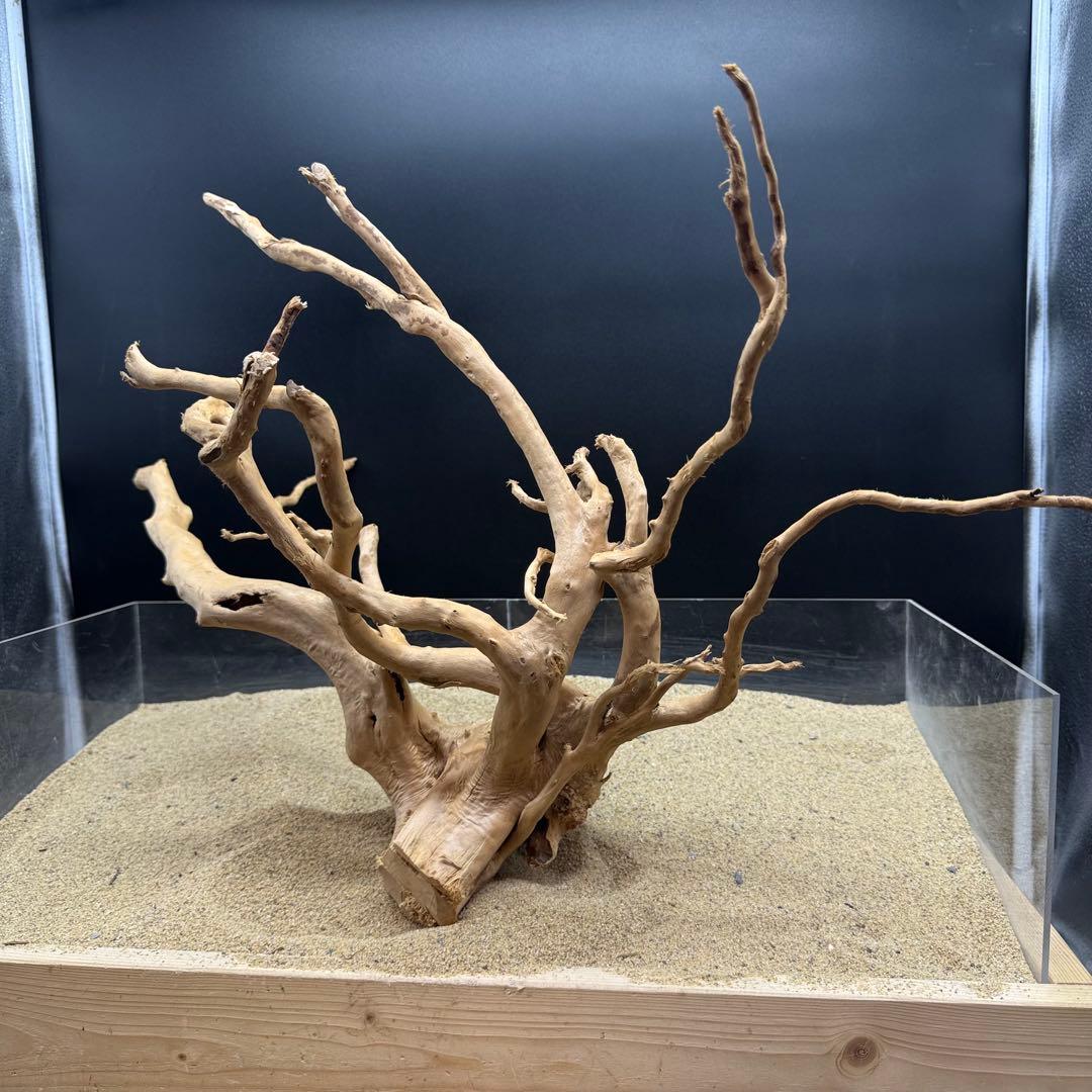 MDW-6991 特大ブランチウッド　流木　枝流木　アクアリウム