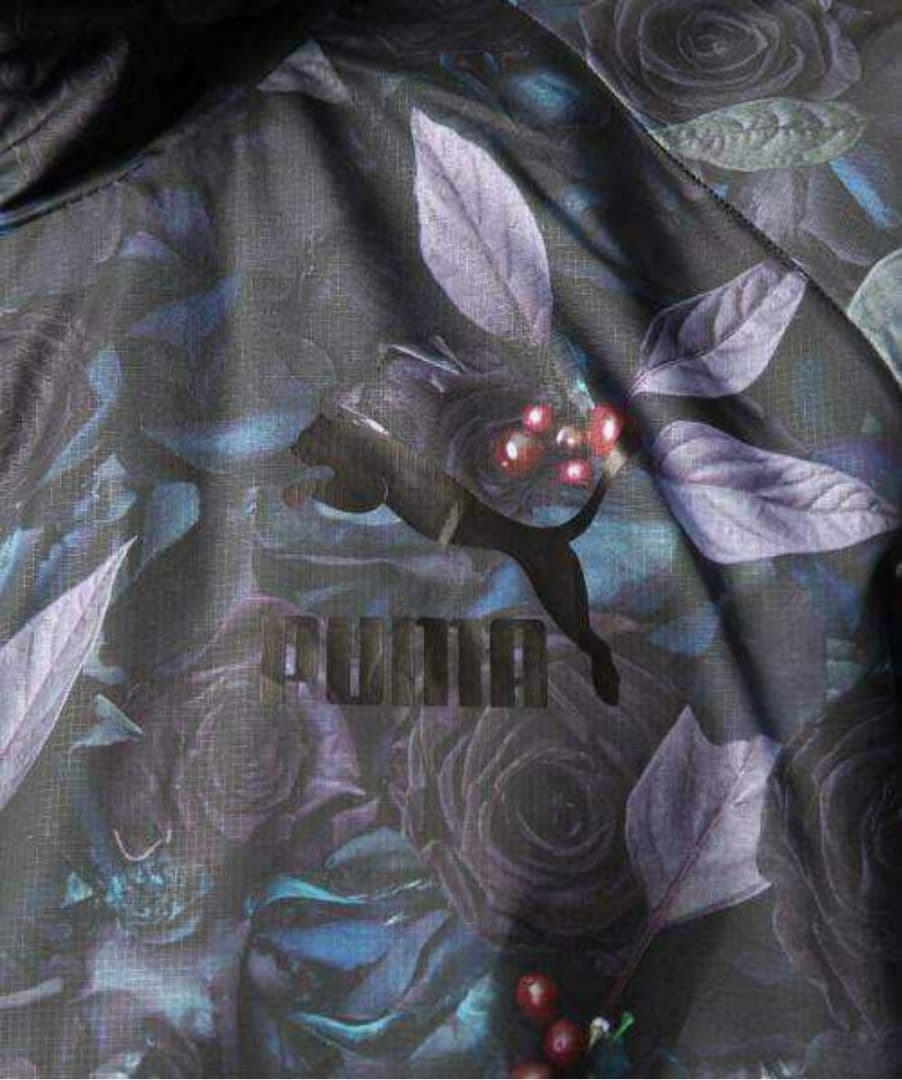 激レア 完売品 PUMA vanップ プーマ ヴァンキッシュ 上下 ジャージ