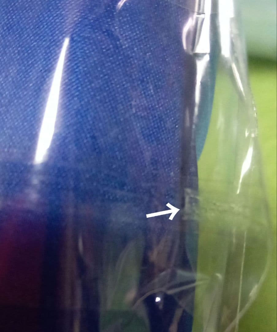 【送料込】ディズニー　ミラコスタ　バケパ　FSホテル ダッフィ　グッズセット