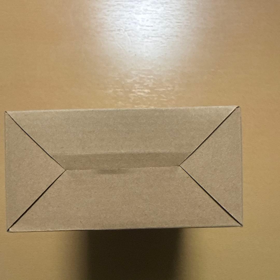 S.H.Figuarts（真骨彫製法）　ライダーマン「仮面ライダーV3」