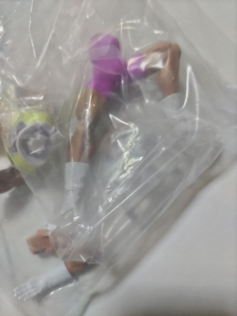 HGシリーズEX HG-EXネイズ HGEXネイズ HGEXブロリー ドーレ