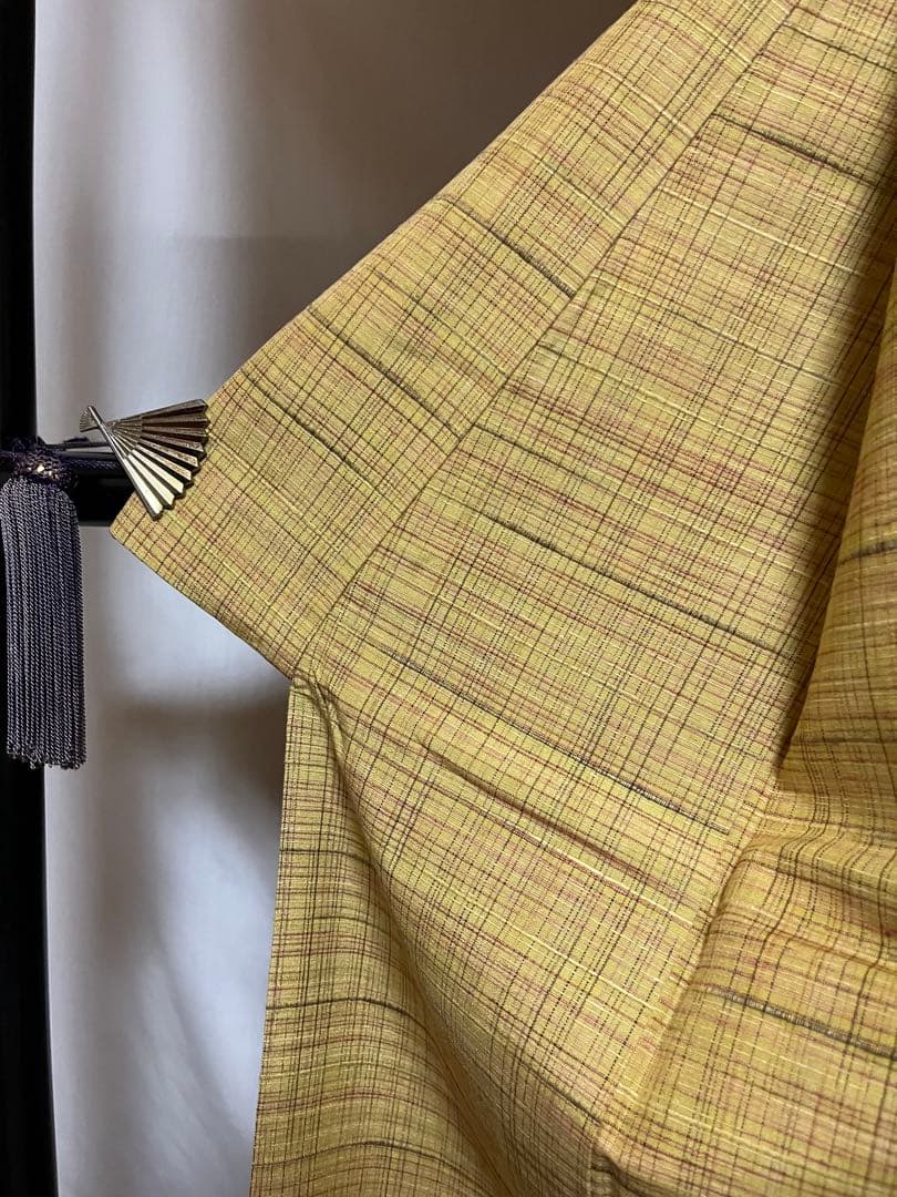 ☘️早い者勝ち☘️【国宝品】●岐阜県無形文化財【郡上紬】●幻の紬●草木染●紬●着物