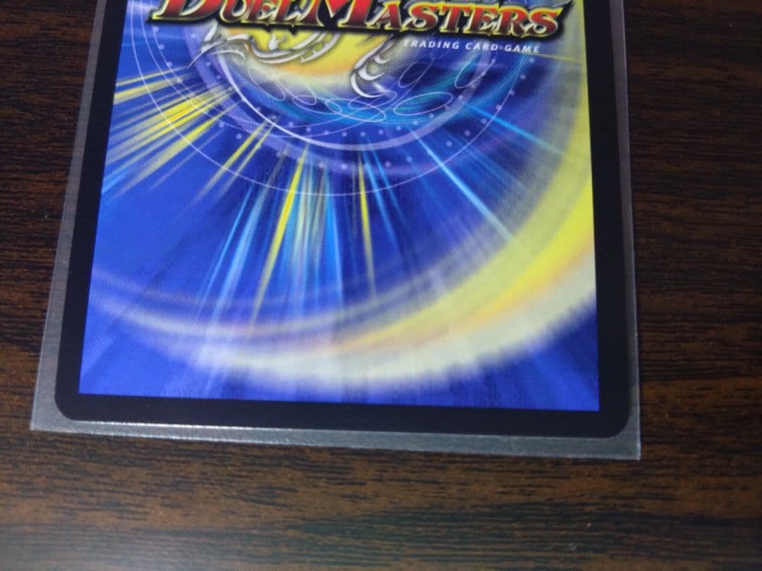 シャコガイル　a 2枚