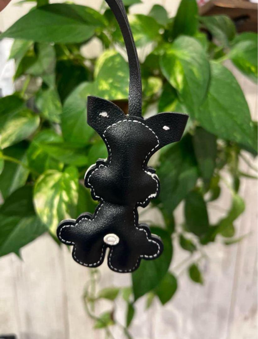 在庫処分　グレー　黒　ミニチュアシュナウザー2個セット　肉球2個付き