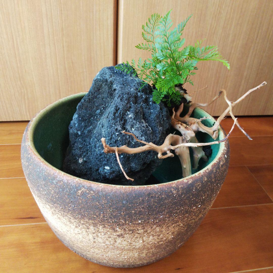 メダカ鉢　金魚鉢