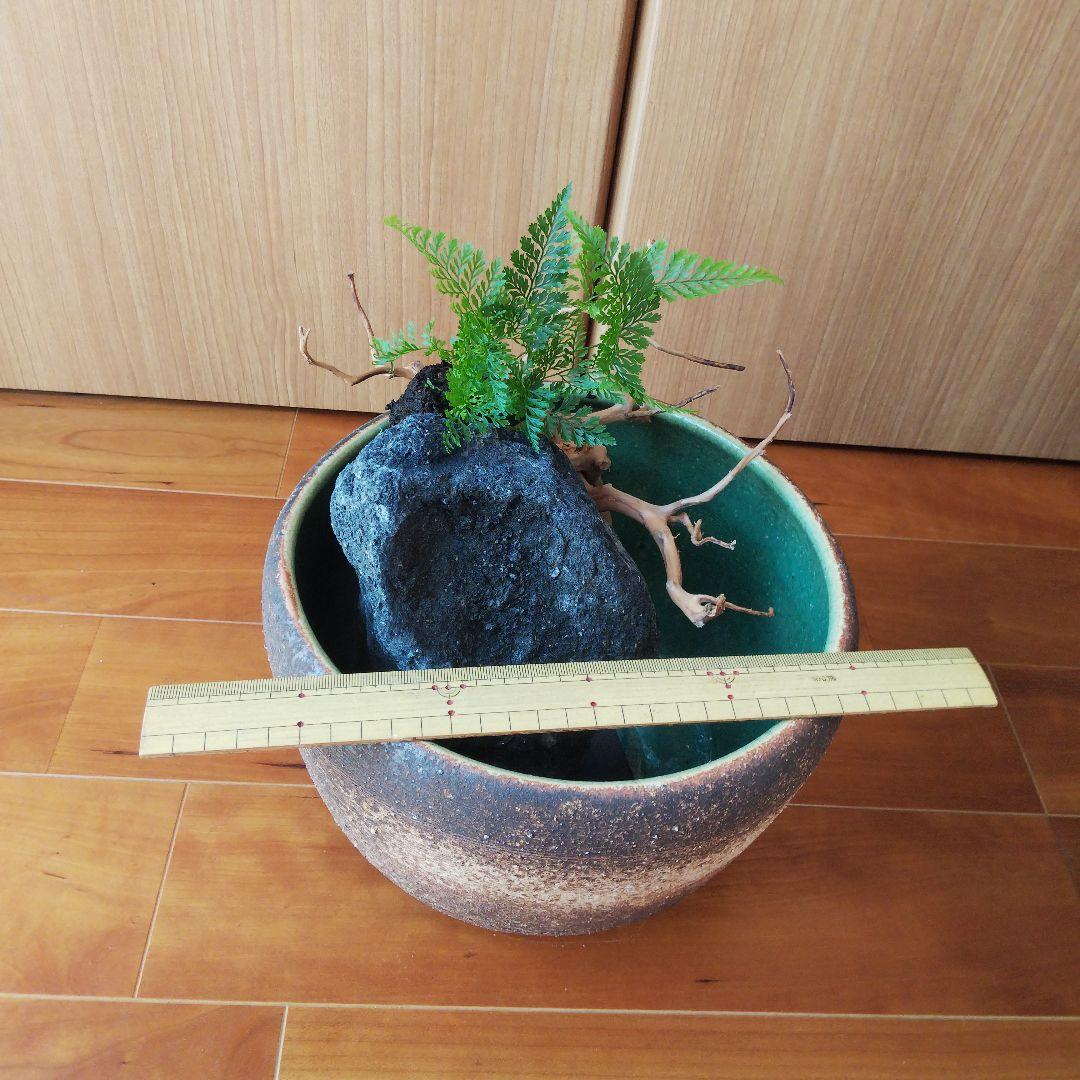 メダカ鉢　金魚鉢